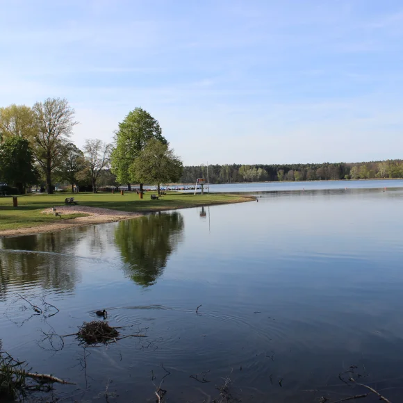 Der Dechsendorfer Weiher gehört zum Erlanger Naherholungsgebiet und wird auch Großer Bischofsweiher genannt.