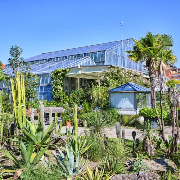Gewächshäuser im Botanischen Garten