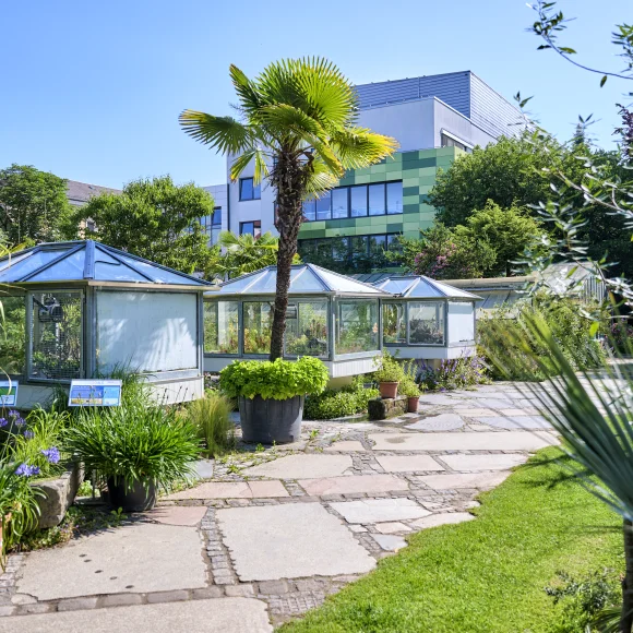 Weg im Botanischen Garten Erlangen