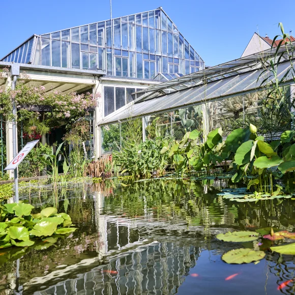Teiche im Botanischen Garten Erlangen