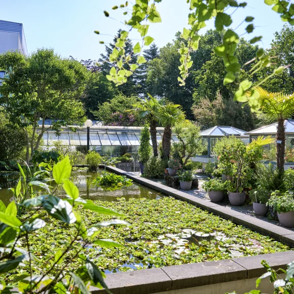 Teiche im Botanischen Garten