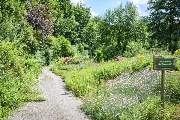 Parkanlagen beim Aromagarten Erlangen