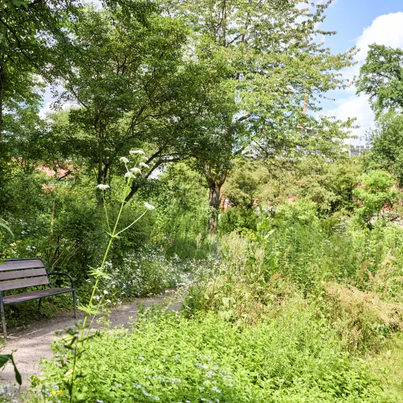 Parkanlage im Erlanger Aromagarten