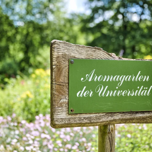 Grünes Schild im Aromagarten Erlangen