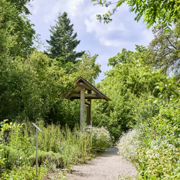 Weg im Aromagarten in Erlangen