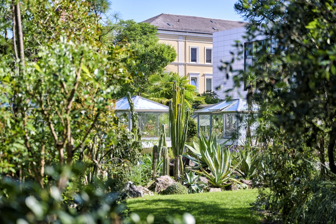 Blick in den Botanischen Garten Erlangen