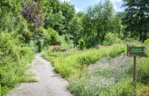 Parkanlagen beim Aromagarten Erlangen