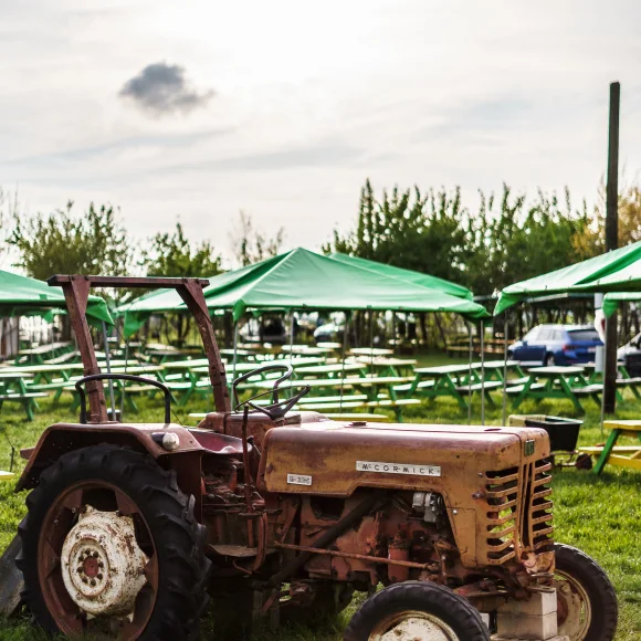 Traktor auf einer Freizeitwiese