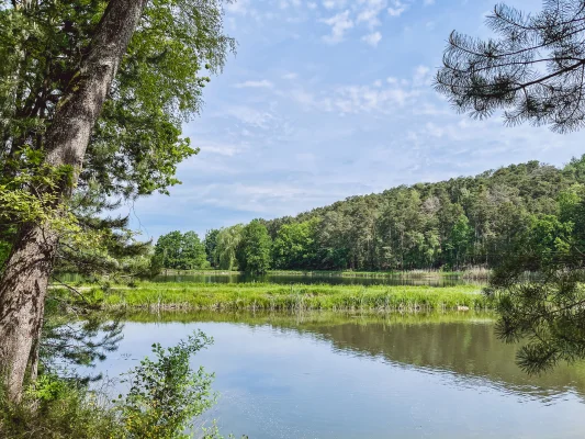 Zwei Seen beim Weihergebiet bei Dechsendorf